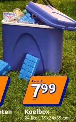 Action Koelbox aanbieding