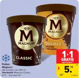 Carrefour Potten Magnum aanbieding