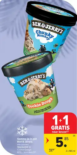 Carrefour Gamma ijs in pot Ben & Jerry's aanbieding