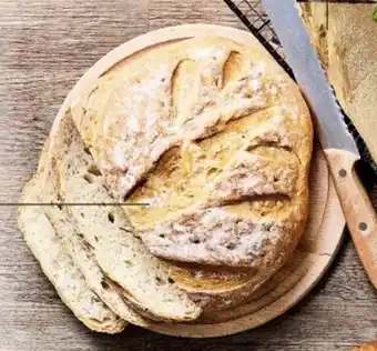 Alvo Boerenbrood Wit aanbieding