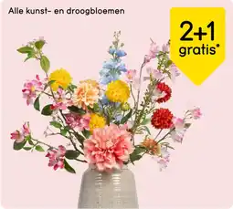 Leen Bakker Alle kunst en droogbloemen aanbieding