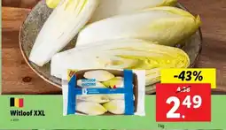 Lidl Witloof XXL aanbieding