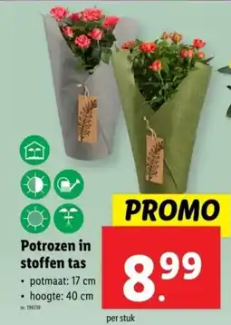 Lidl Potrozen in stoffen tas aanbieding