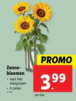 Lidl Zonne bloemen aanbieding