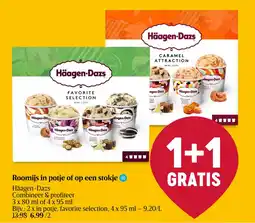 Delhaize Roomijs in potje of op een stokje aanbieding