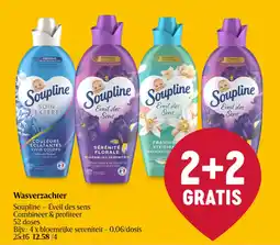 Delhaize Wasverzachter aanbieding