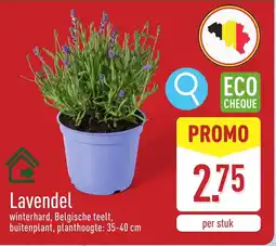 ALDI Lavendel aanbieding