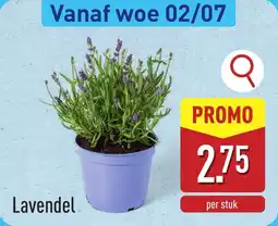ALDI Lavendel aanbieding