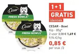 Tom&Co Cesar Bowl aanbieding
