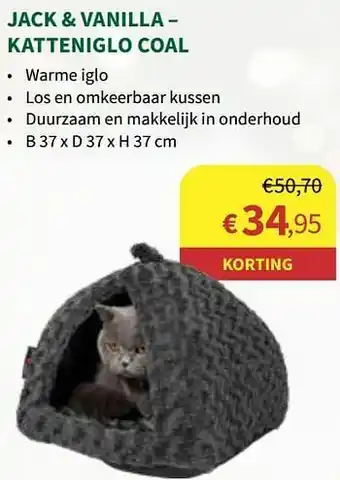 Jack + vanilla - katteniglo coal