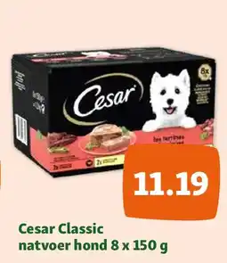 Maxi Zoo Cesar Classic natvoer hond 8 x 150 g aanbieding