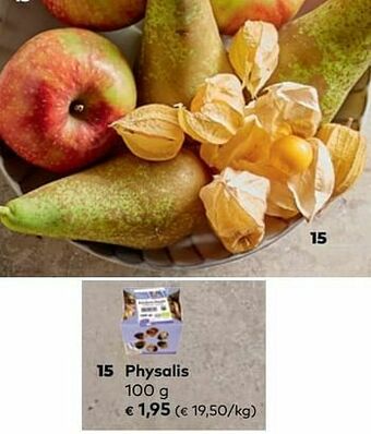 Physalis