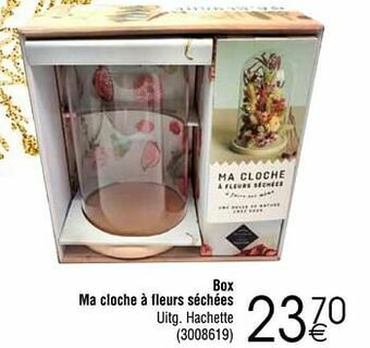 Cora Box ma cloche à fleurs séchées aanbieding
