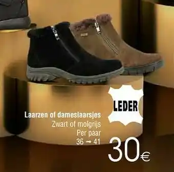 Laarzen of dameslaarsjes