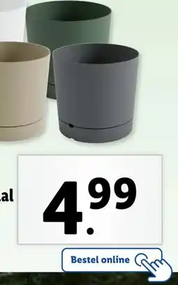 Lidl Bloempot met onderschaal aanbieding