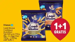 Delhaize Frieten aanbieding