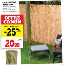Dema Canisse de roseaux aanbieding