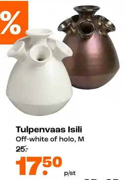 Kwantum Tulpenvaas Isili aanbieding