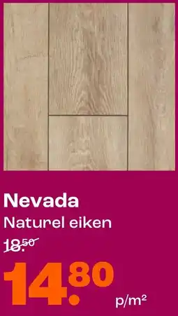 Kwantum Nevada aanbieding