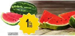 Cora Langwerpige watermeloen aanbieding