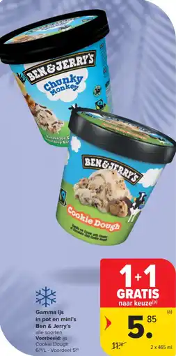 Carrefour Market Gamma ijs in pot en mini's Ben & Jerry's aanbieding