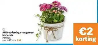 Albert Heijn Ah moederdagarrangement hortensia aanbieding