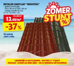 Hubo Metalen Dakplaat Bricotuil aanbieding
