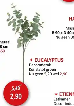 Weba EUCALYPTUS aanbieding