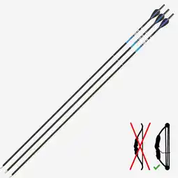 Decathlon PIJLEN VOOR BOOGSCHIETEN CLUB 500 CB CARBON COMPOUNDBOOG X3 aanbieding
