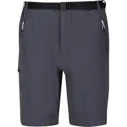 Decathlon Heren Xert III Stretch Shorts (Afdichting Grijs) aanbieding