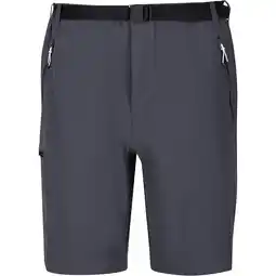Decathlon Heren Xert III Stretch Shorts (Afdichting Grijs) aanbieding