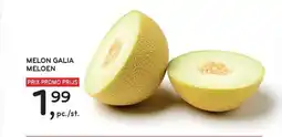 Alvo Melon galia meloen aanbieding