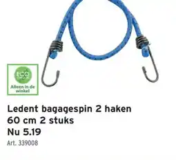 GAMMA Ledent bagagespin 2 haken 60 cm 2 stuks aanbieding