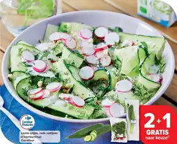 Carrefour Lente-uitjes, rode radijzen of komkommer Carrefour aanbieding