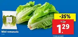 Lidl Mini-romanasla aanbieding