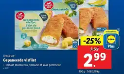 Lidl Ocean sea gepaneerde visfilet aanbieding