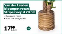 AVEVE Van der Leeden bloempot rotan Stripe Grey aanbieding