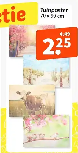 Wibra Tuinposter aanbieding
