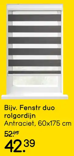 Leen Bakker Bijv. Fenstr duo Rolgordijn aanbieding