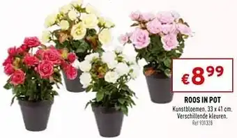 Trafic Roos in pot aanbieding