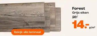 Kwantum Forest aanbieding