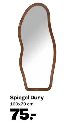 Kwantum Spiegel Dury aanbieding