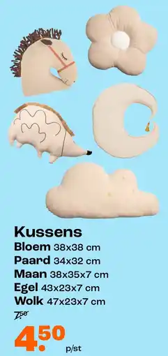 Kwantum Kussens aanbieding