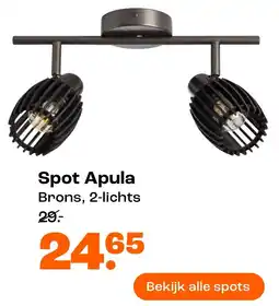 Kwantum Spot Apula aanbieding