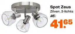 Kwantum Spot Zeus aanbieding