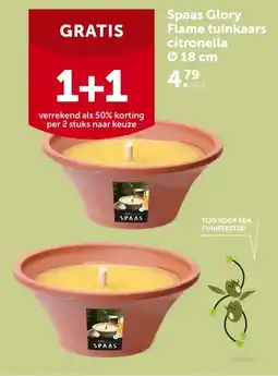 AVEVE Spaas Glory Flame tuinkaars citronella aanbieding