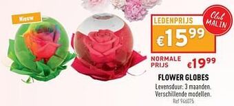 Flower globes