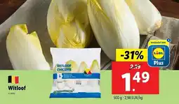 Lidl Witloof aanbieding