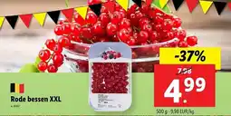 Lidl Rode bessen XXL aanbieding