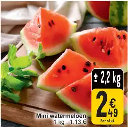 Cora Mini watermeloen aanbieding